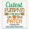 cutest-pumpkin-in-the-patch-svg