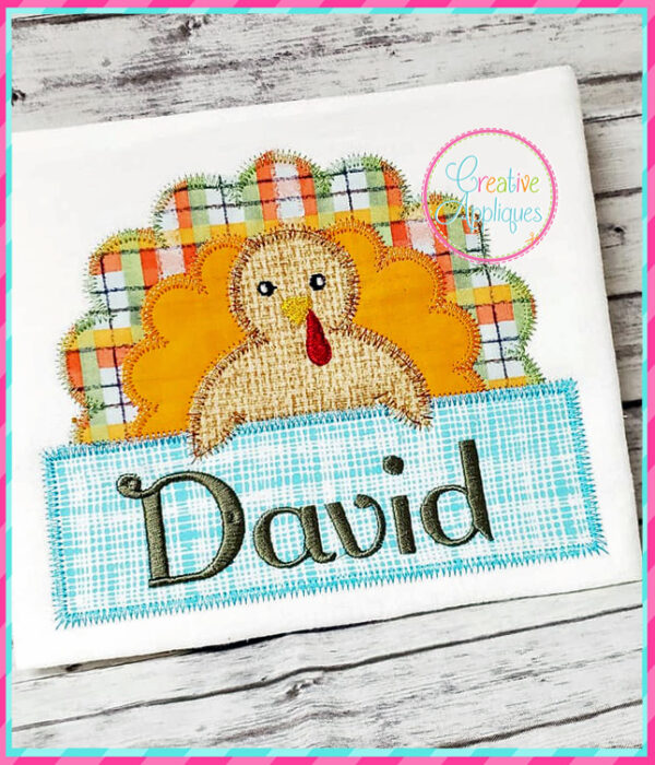 Zigzag Stitch Turkey Frame Applique Design