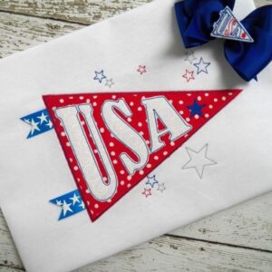 USA Pennant