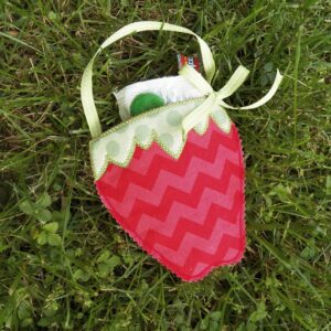 Strawberry Treat Bag