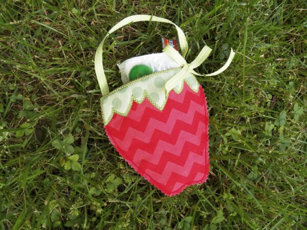 Strawberry Treat Bag