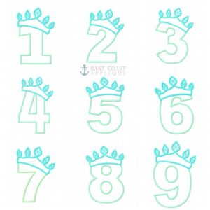 Ice Princess Numbers