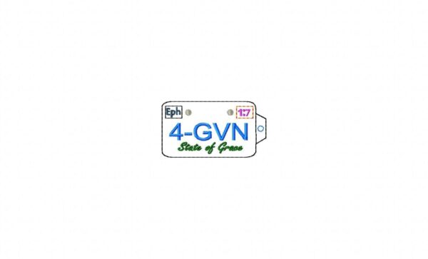 4GVN Keyfob