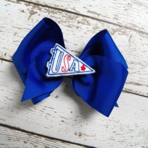 USA Pennant Clip'ems